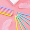 Rainbow Pastel Color Pencil Set of 12