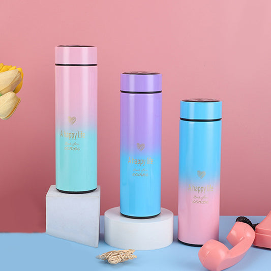 Gradient LED Temperature Display Water Bottle