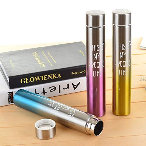 Sleek Stainless Gradient Insulated Bottle - 260ml