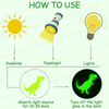 Luminous Wall Stickers | Glow in the Dark Solar System Decals