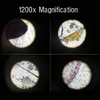1200X Magnification Microscope | Science Lab Kit with Slides & Tools