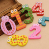 Number Wooden Fridge Magnet Pack of 10