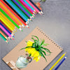 24 Colors Astronaut Theme Color Pencil Set for Kids