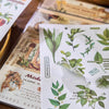 Vintage Aesthetic Journal Sticker Book | 20 Sheets Scrapbooking Supplies | Japanese Style