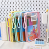 A4 Mesh Zipper Folder – 2-Compartment School Document Organizer with Handle