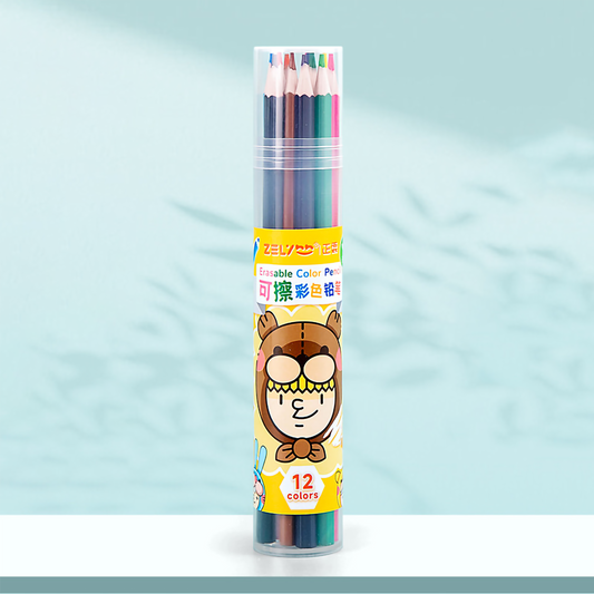 Vibrant Color Pencil Set of 12
