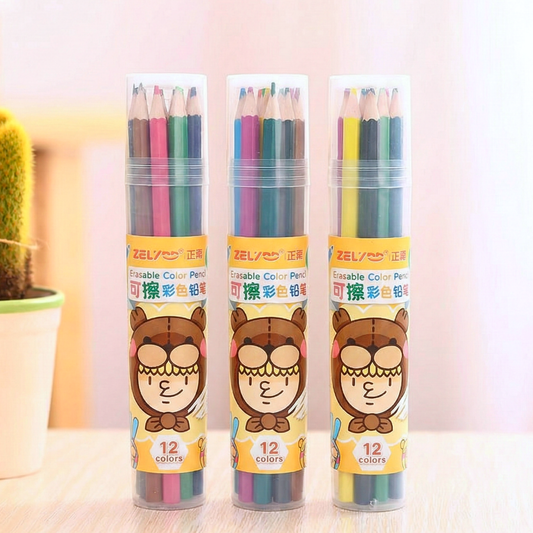 Vibrant Color Pencil Set of 12
