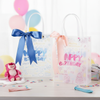 Happy Birthday PVC Gift Bag