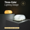 360° Foldable Wooden Book LED Lamp | USB-C Rechargeable Desk Light