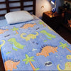 Dino Magic Glow in the Dark Blanket