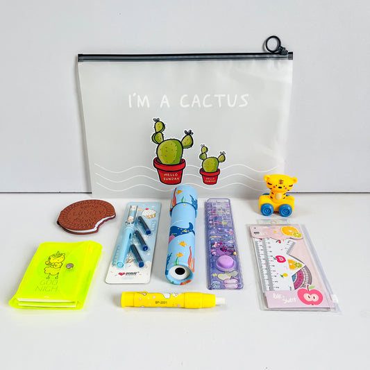 All-in-One Kawaii Gift Hamper