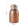Mini Insulated Water Bottle - Stainless Steel Vacuum Flask with Ring Lid
