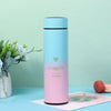 Gradient LED Temperature Display Water Bottle