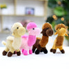 Cute & Cuddly Mini Camel Soft Plush Toys