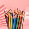 Cute Cartoon 24-Color Pencil Tube