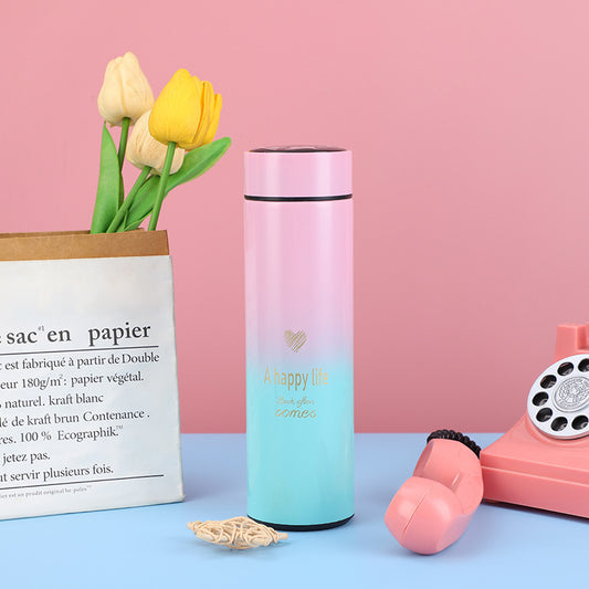 Gradient LED Temperature Display Water Bottle