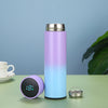 Gradient LED Temperature Display Water Bottle
