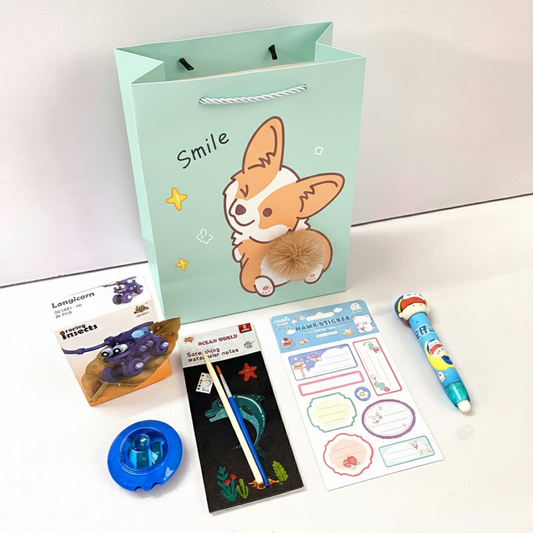 Creative DIY & Kawaii Gift Hamper