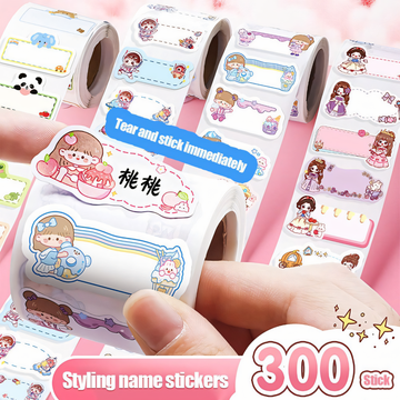 Decorative Name Label Sticker Roll | 300Pcs Count