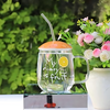 Fruit Transparent Glass Mug