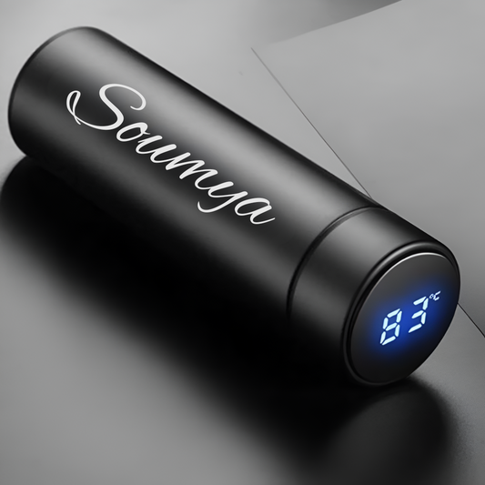LED Temperature Display Vacuum Insulated Water Bottle