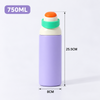 Leak-Proof 750ml Sport Water Bottle with Straw & Swig Modes