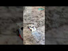 Interactive Sensor Remote Control Drift Car 2.4G | Follow, Escape & RC Modes