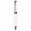 Corporate Companion Set:  Pen, Mouse, USB Drive & Diary