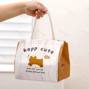 Cute Aesthetic Thermal Insulated Lunch Bag | Portable Zipper Thermal Tote